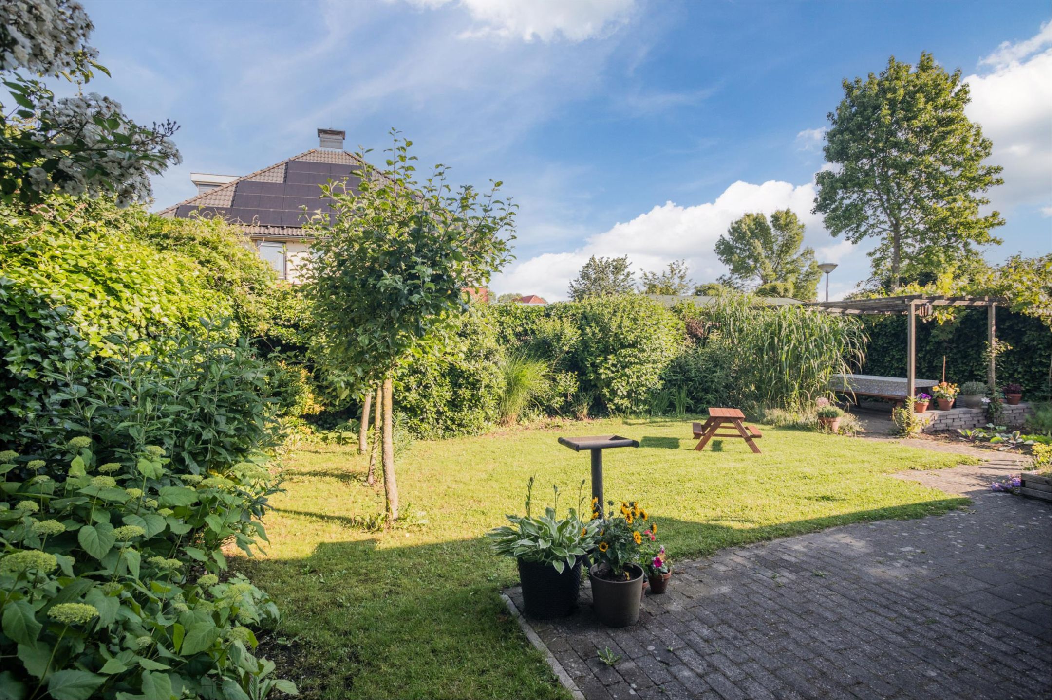 Foto 42 van Dijkmate 2