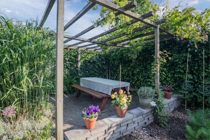 Foto 45 van Dijkmate 2