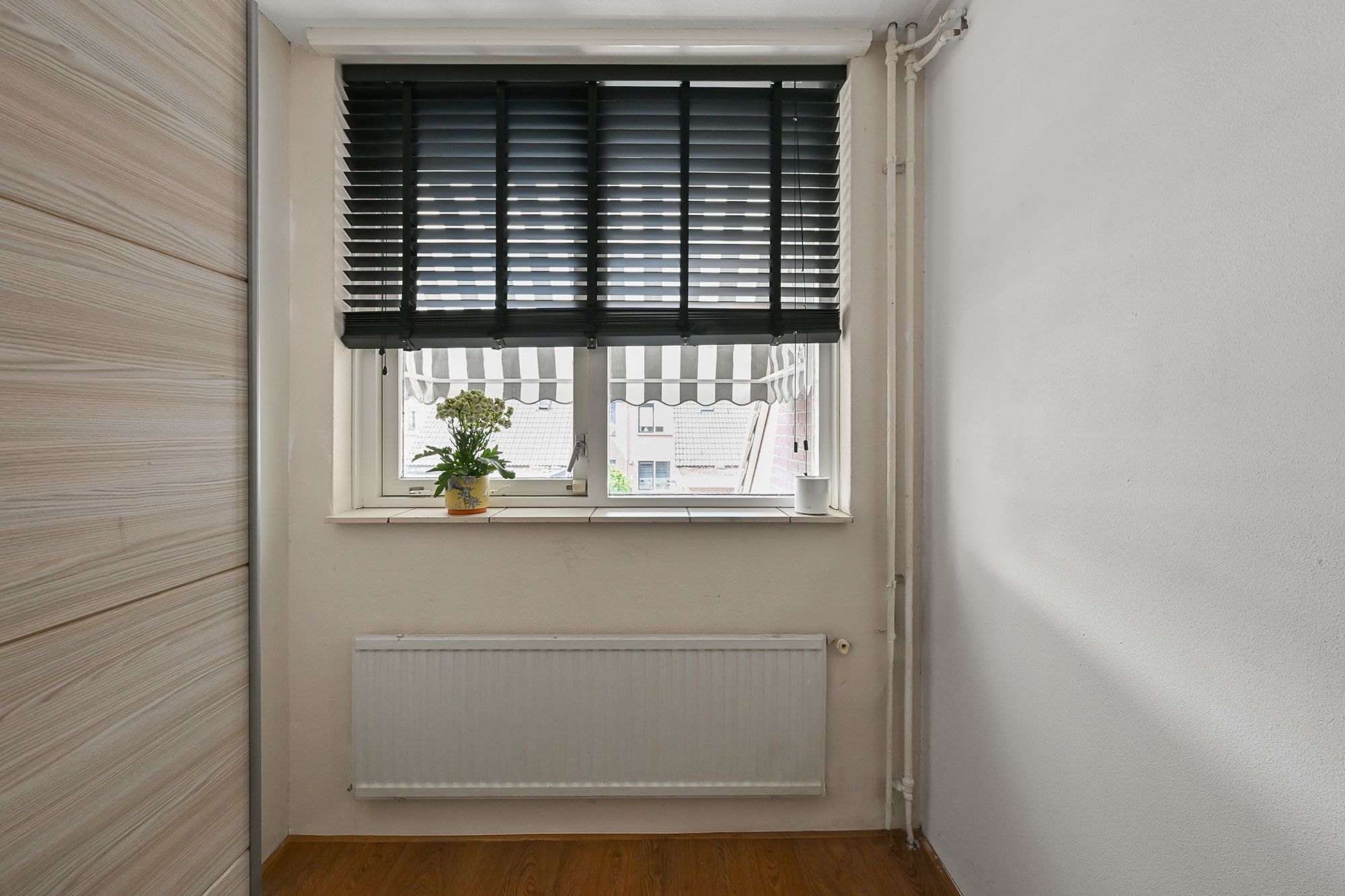 Photo 24 of Helmkruid 3