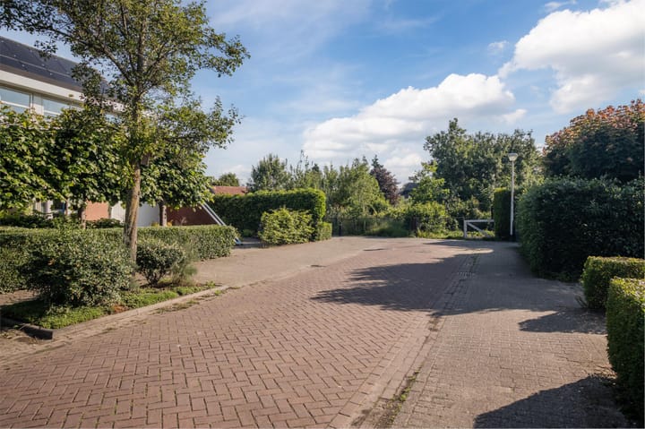 Foto 53 van Dijkmate 2