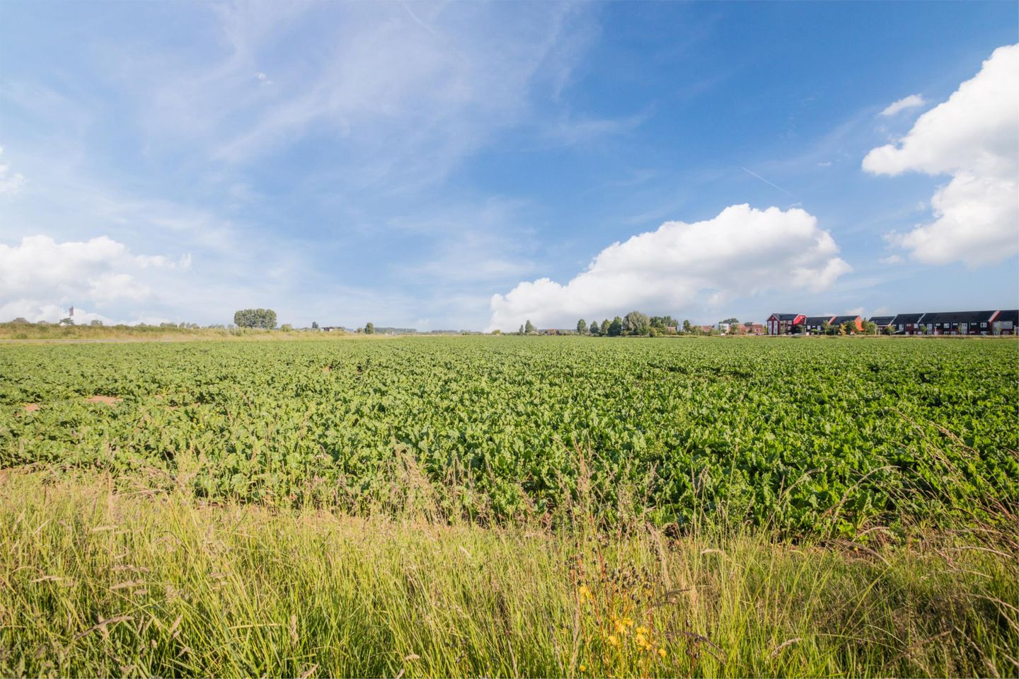 Foto 55 van Dijkmate 2