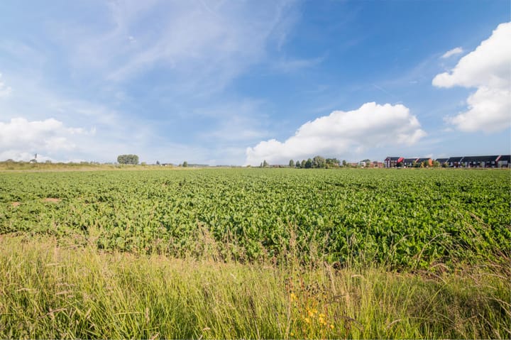 Foto 55 van Dijkmate 2