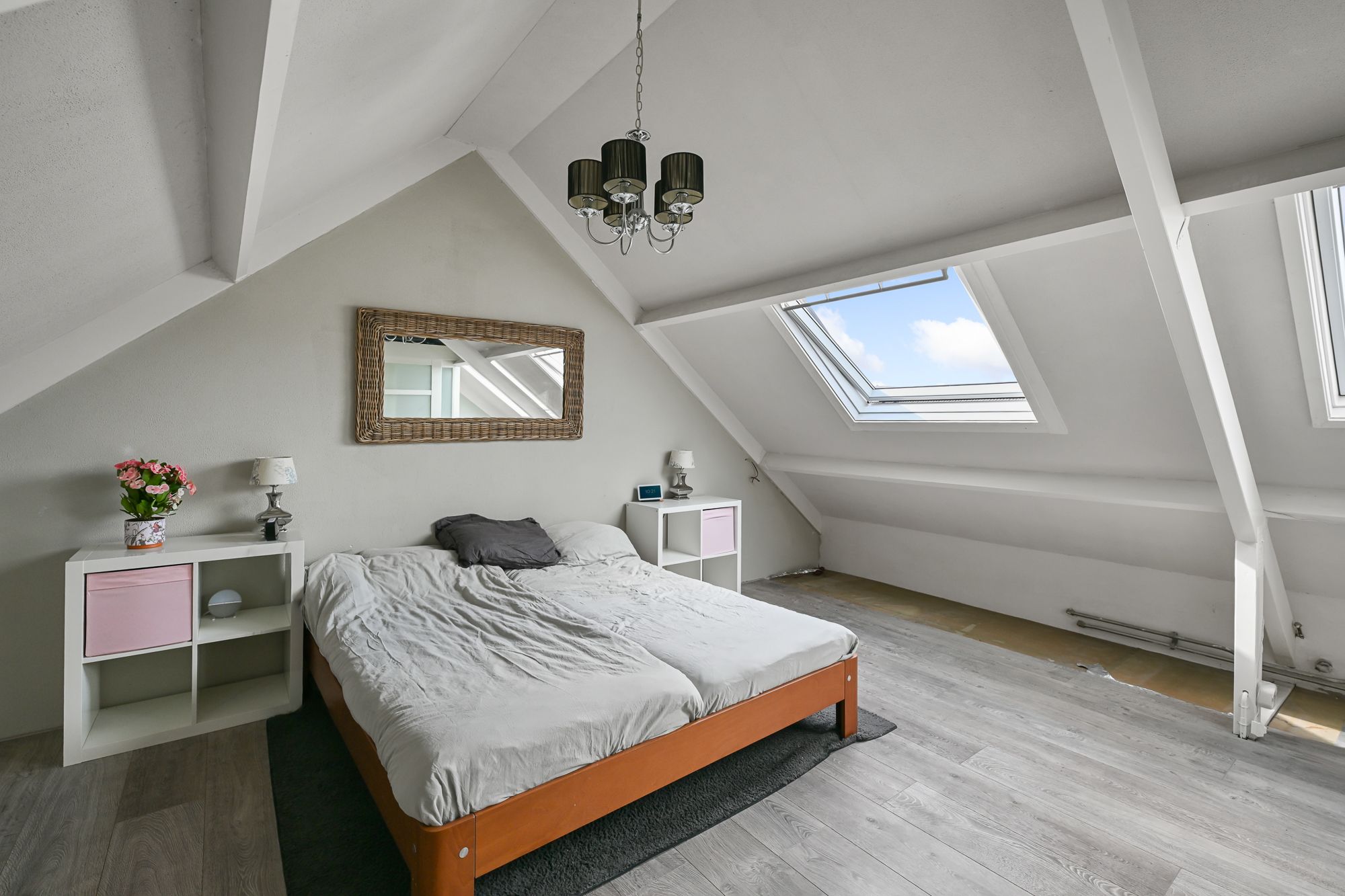 Photo 30 of Helmkruid 3