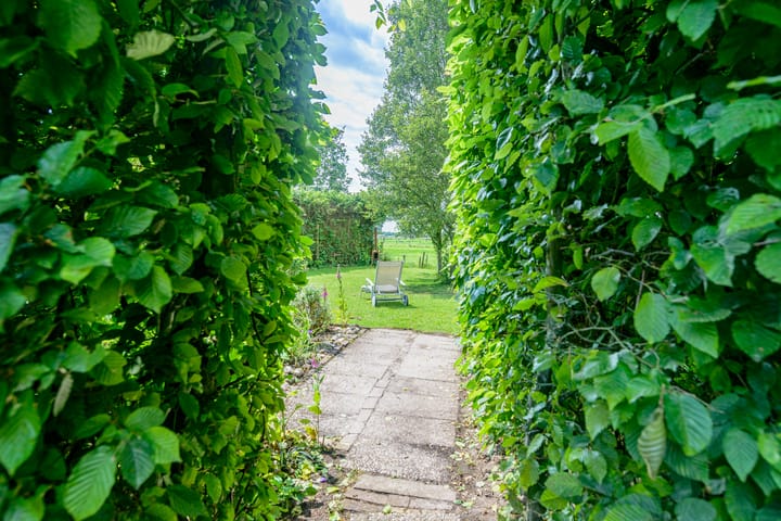 Foto 37 van Nieuwenhuisstraat 62