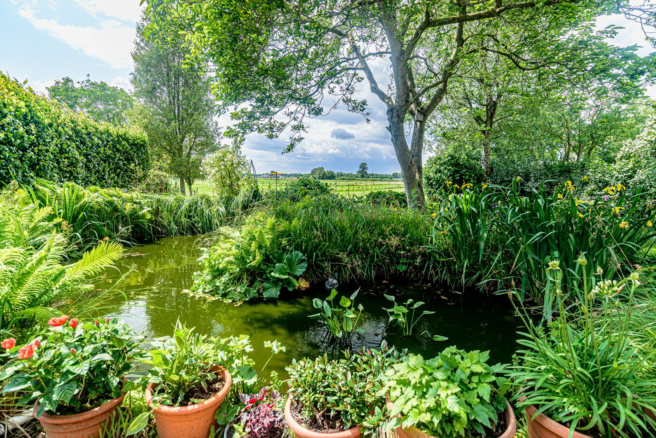 Photo 39 of Nieuwenhuisstraat 62