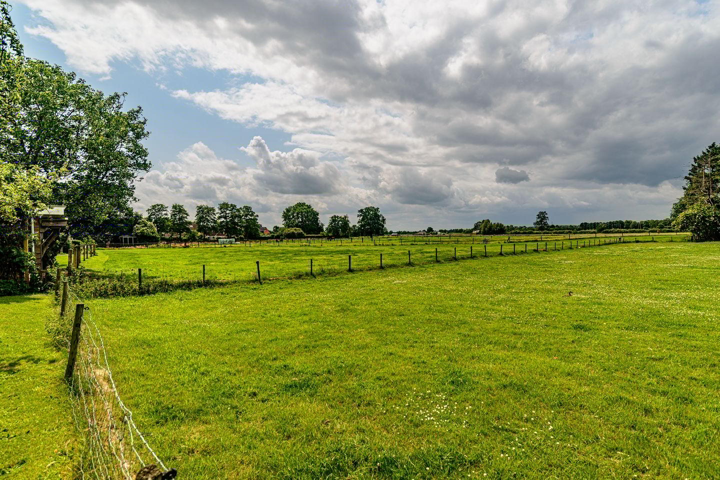 Photo 40 of Nieuwenhuisstraat 62