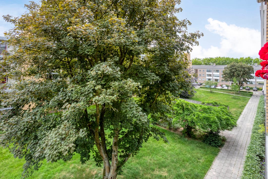 Foto 8 van Adriaen Willaertstraat 47