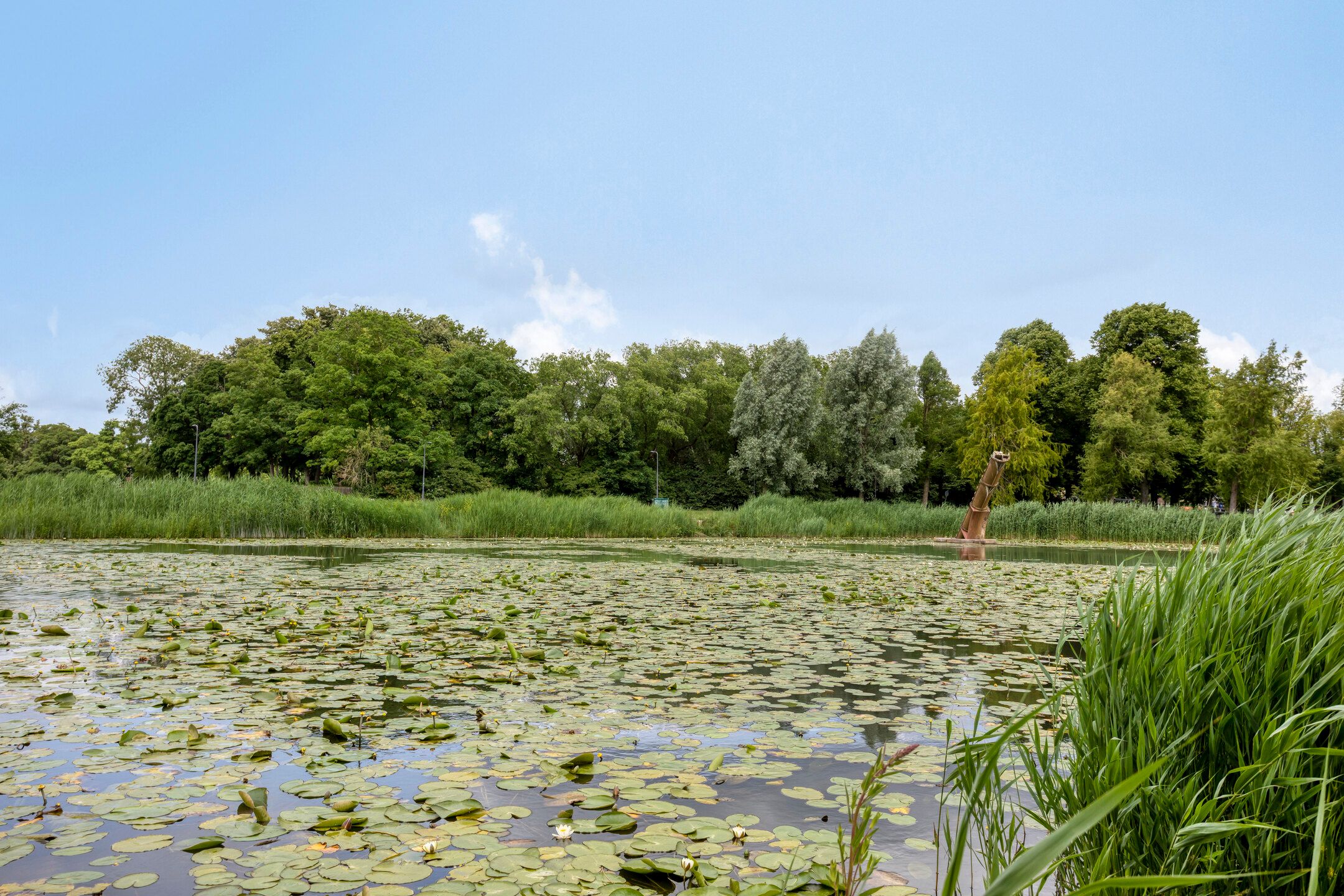 Foto 33 van Adriaen Willaertstraat 47