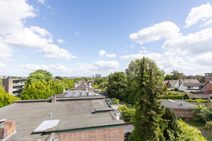 Foto 18 van Izaäk Evertslaan 115-4