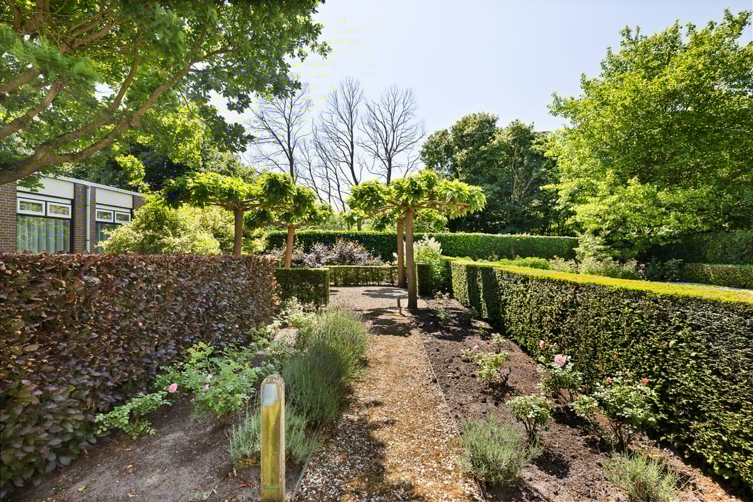 Foto 17 van Badhuisstraat 183