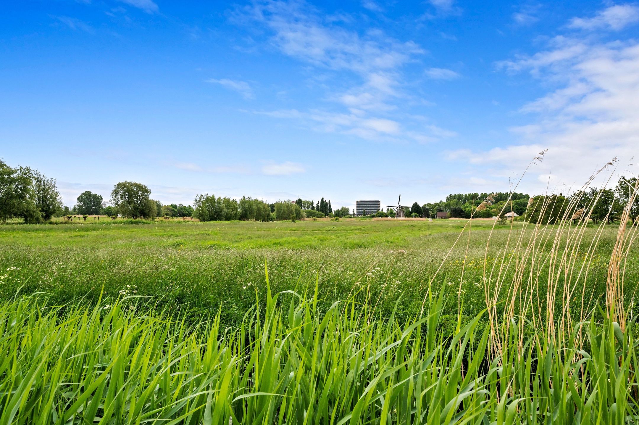 Foto 84 van Waterkersvijver 12