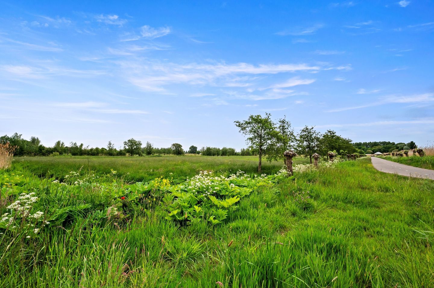 Foto 85 van Waterkersvijver 12