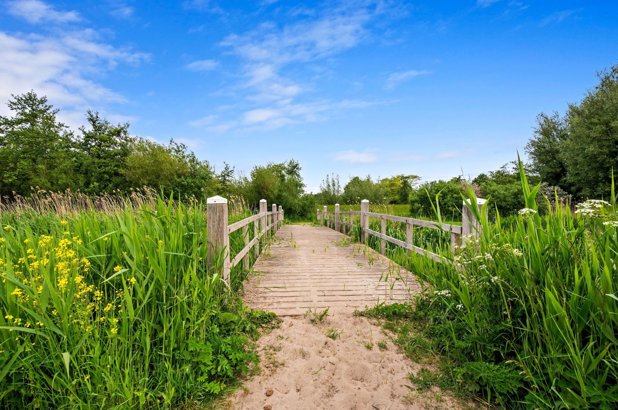 Foto 93 van Waterkersvijver 12