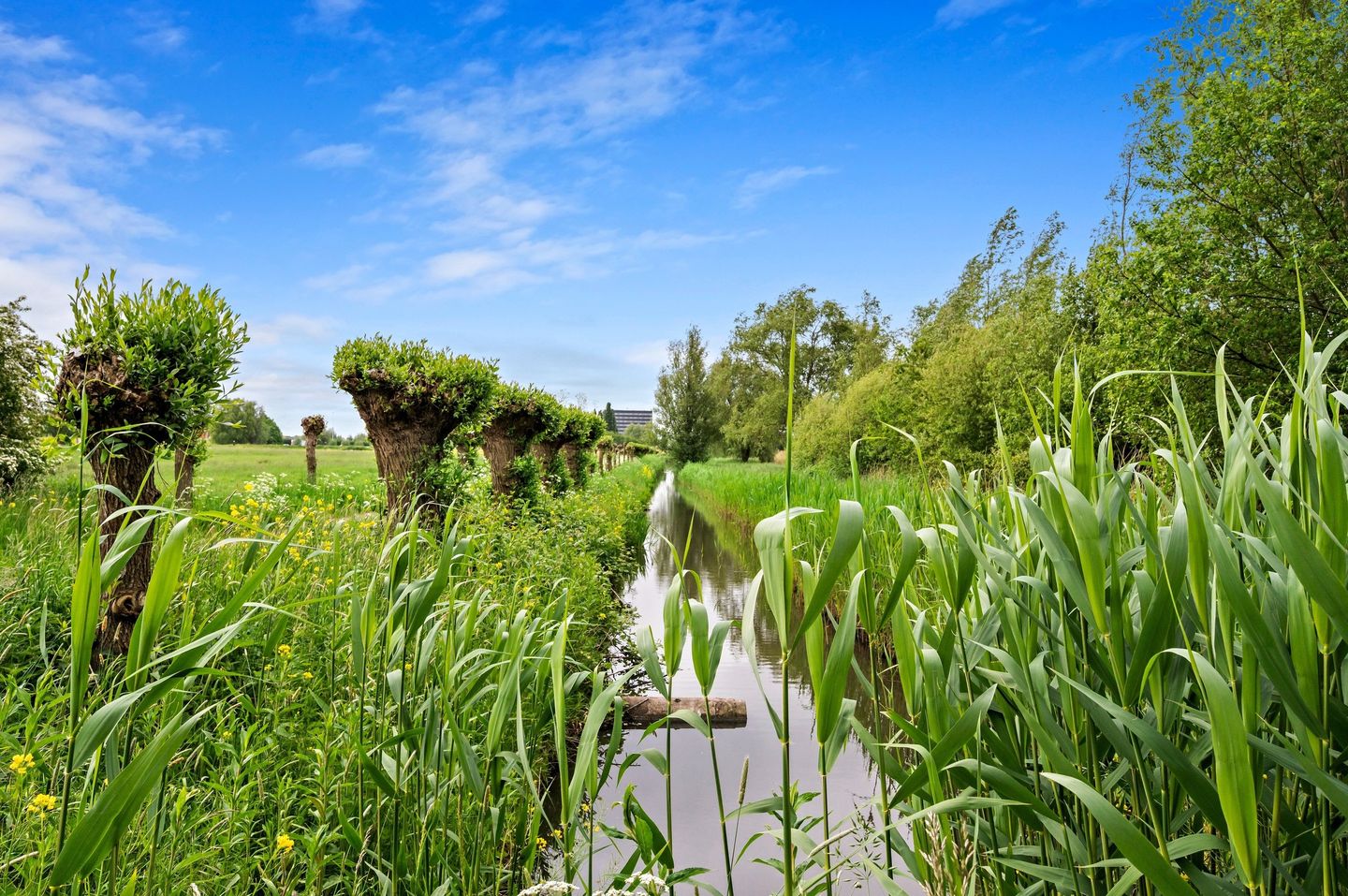 Foto 94 van Waterkersvijver 12