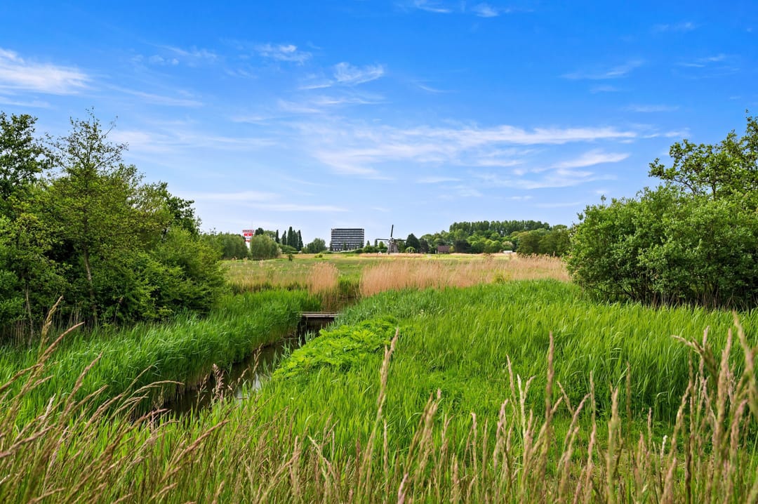 Foto 97 van Waterkersvijver 12