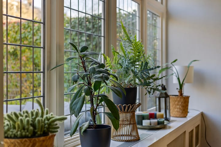 Foto 21 van Maarten Gorisstraat 13