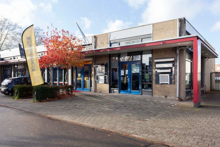 Semmelweisstraat 1-c, Dieren