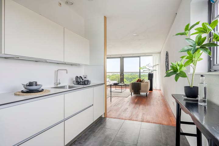 Photo 17 of Boumaboulevard 223