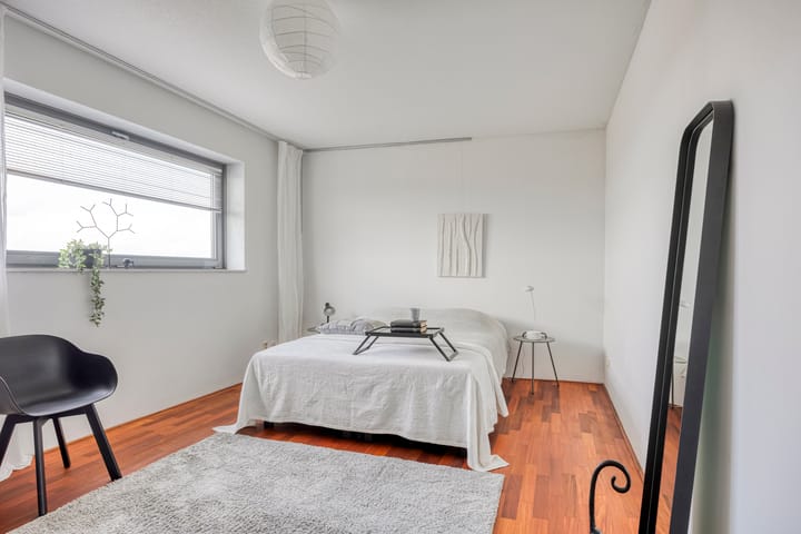 Photo 19 of Boumaboulevard 223