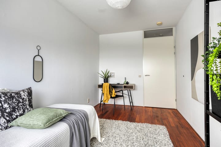 Photo 23 of Boumaboulevard 223