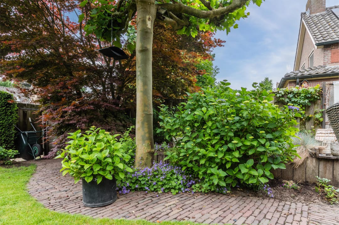 Foto 68 van Schutsboomstraat 10