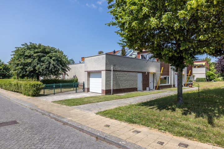 Foto 34 van Leeuwerik 6