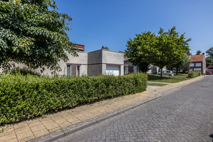 Foto 36 van Leeuwerik 6