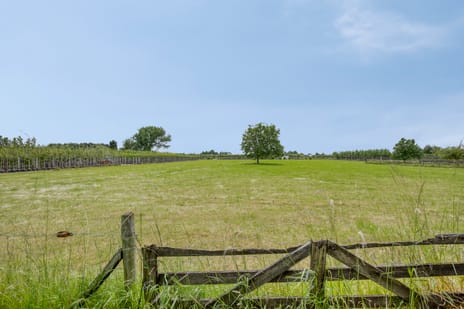 Achterstraat 18 tertiary image