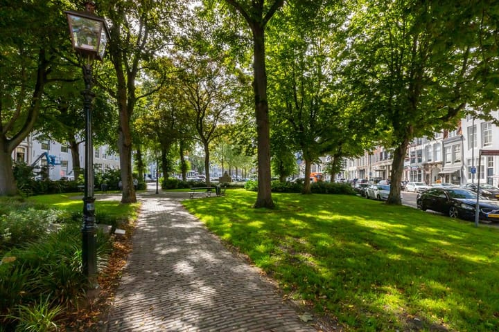 Foto 46 van Dam 43-D