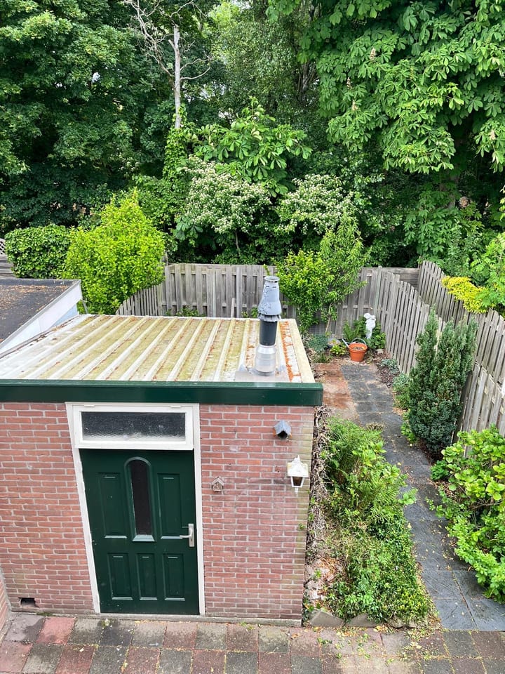 Foto 3 van Naaldwijkseweg 268