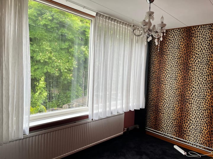 Foto 14 van Naaldwijkseweg 268