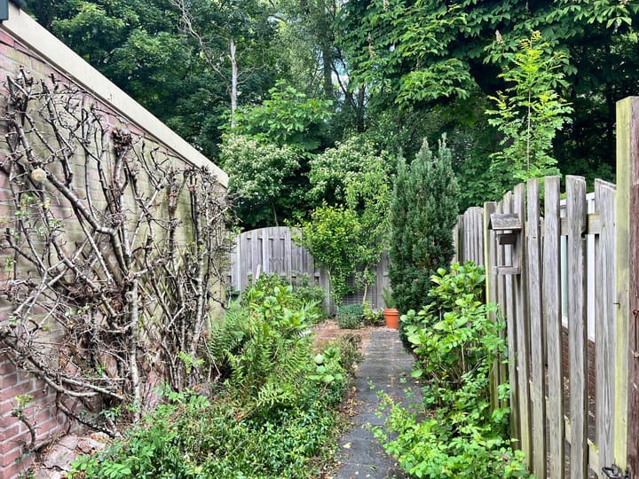 Foto 24 van Naaldwijkseweg 268