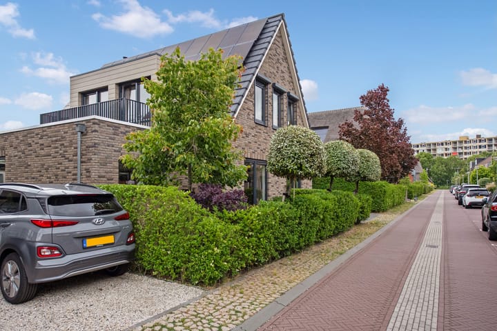 Foto 50 van Laan van Bentvelsen 51