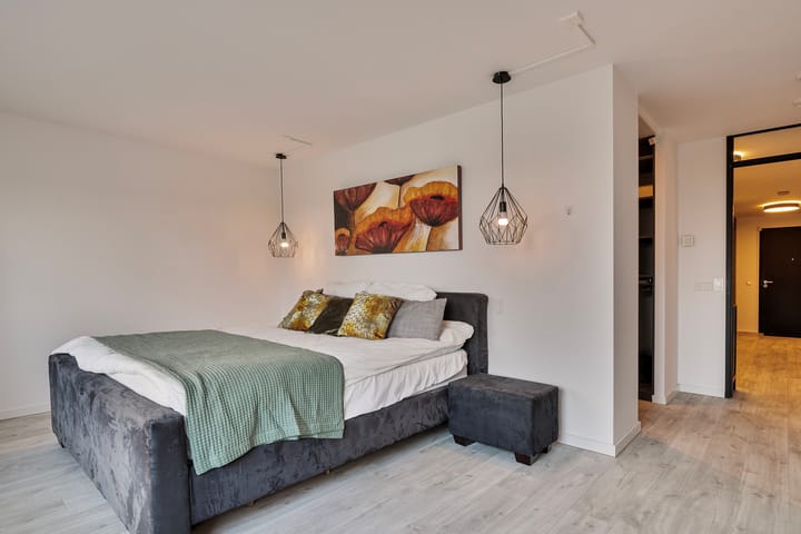 Foto 3 van Gedempte Zalmhaven 537