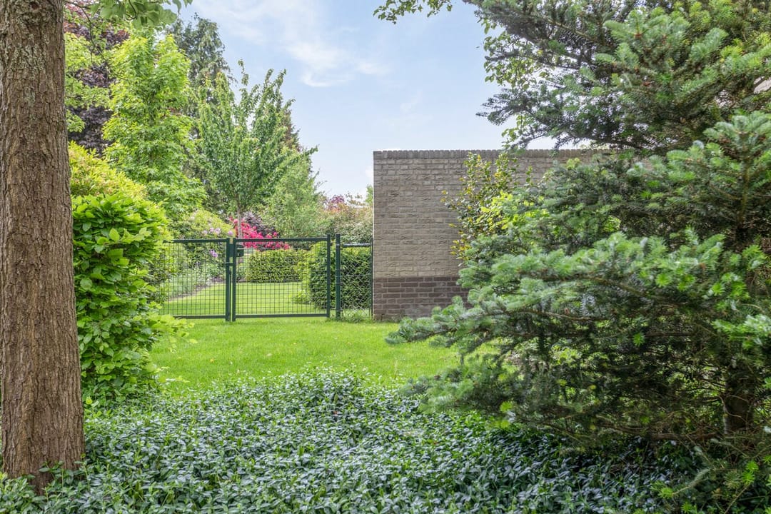 Foto 38 van Holleberg 2