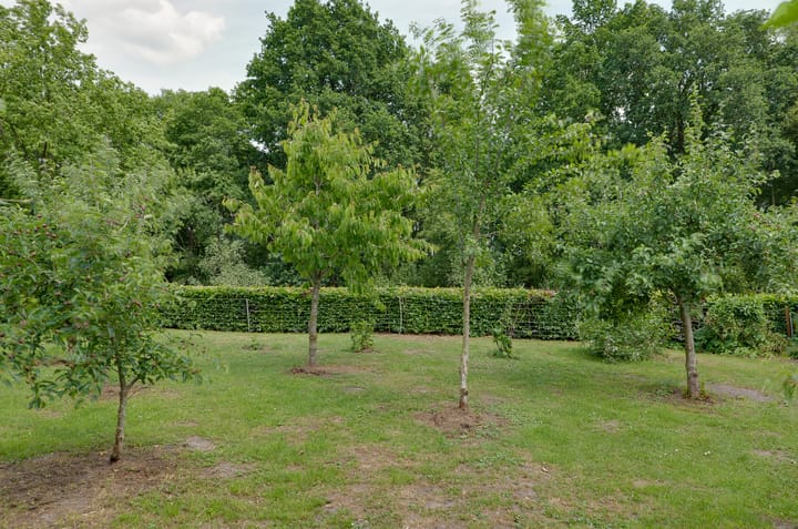 Foto 46 van Südstraße 288