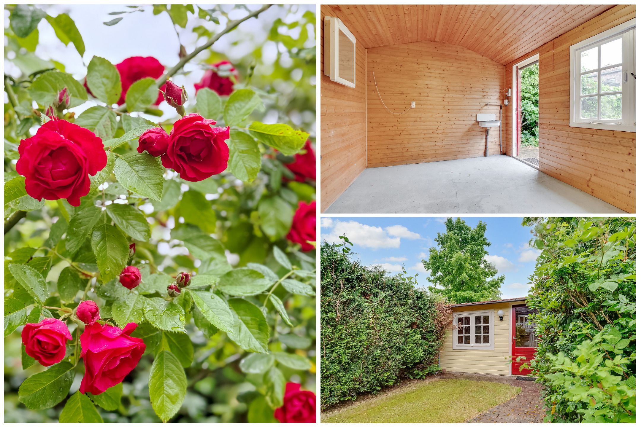 Photo 48 of Hessenweg 29