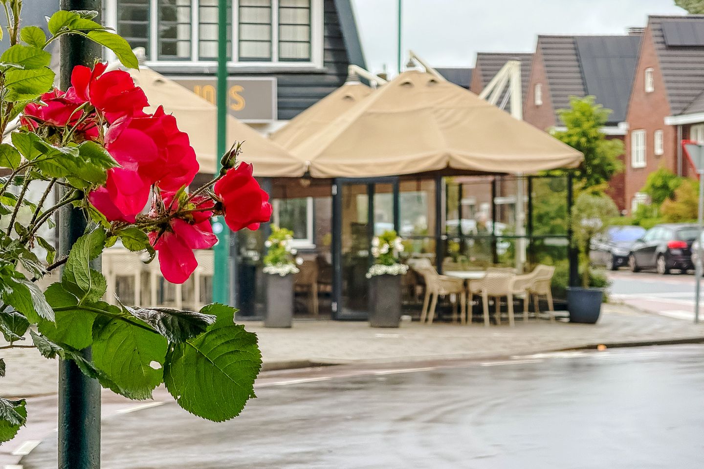 Photo 55 of Hessenweg 29