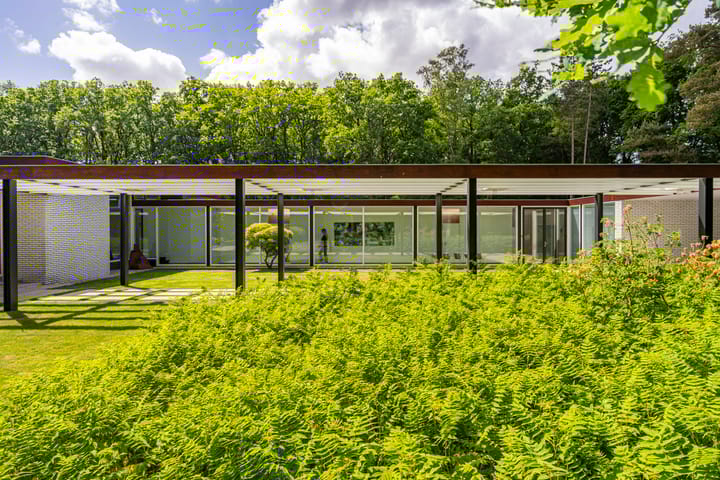 Photo 4 of Lange Wijnen 9