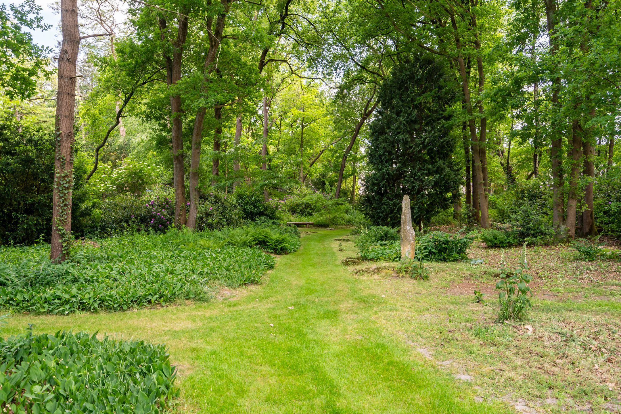 Foto 57 van Lange Wijnen 9