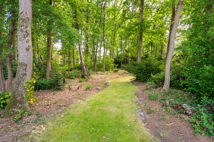 Photo 58 of Lange Wijnen 9