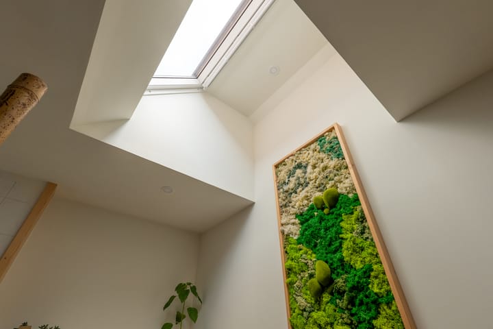 Photo 39 of Aurora 74