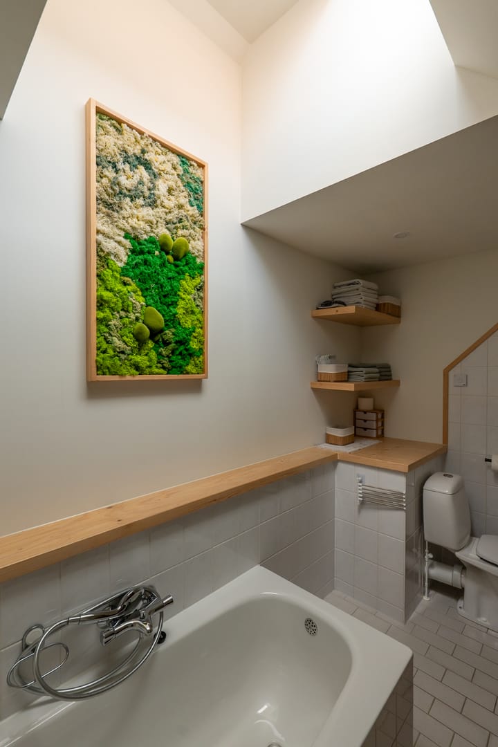 Photo 42 of Aurora 74