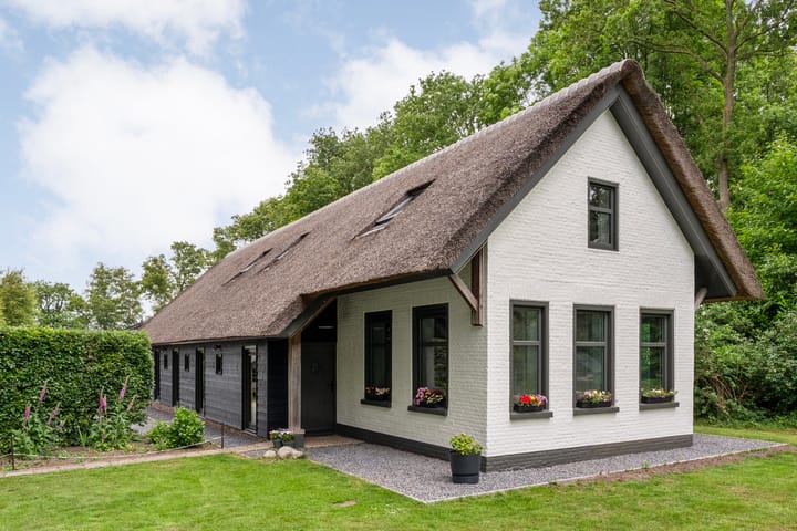 Photo 9 of Midden 119