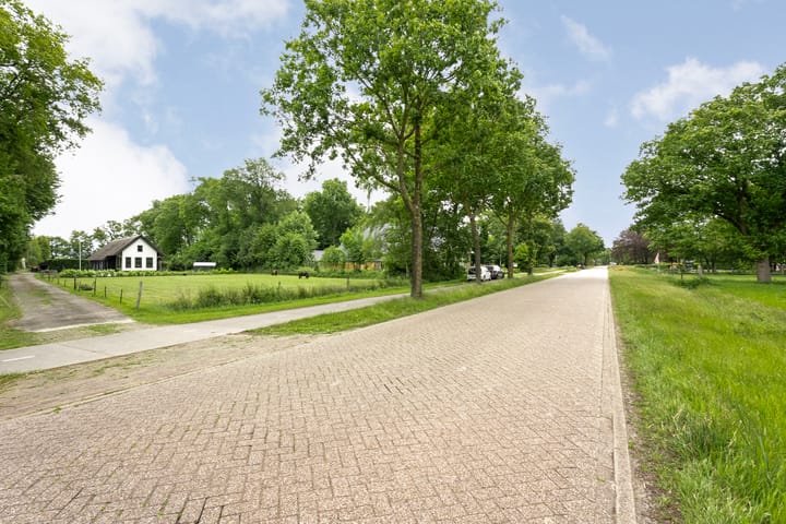 Photo 10 of Midden 119