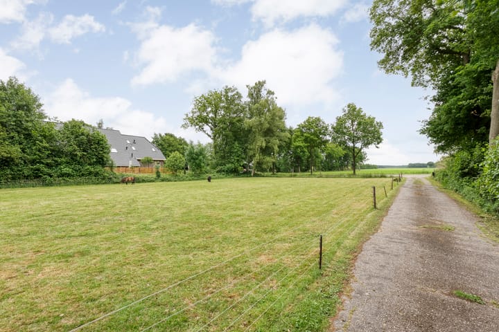 Photo 11 of Midden 119