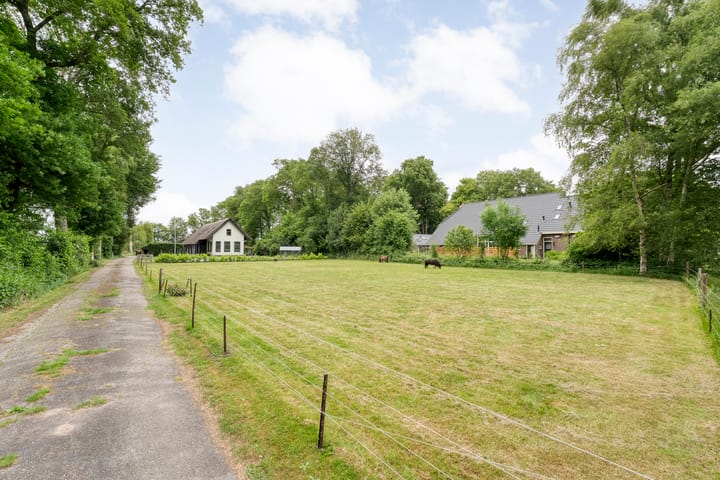 Photo 12 of Midden 119