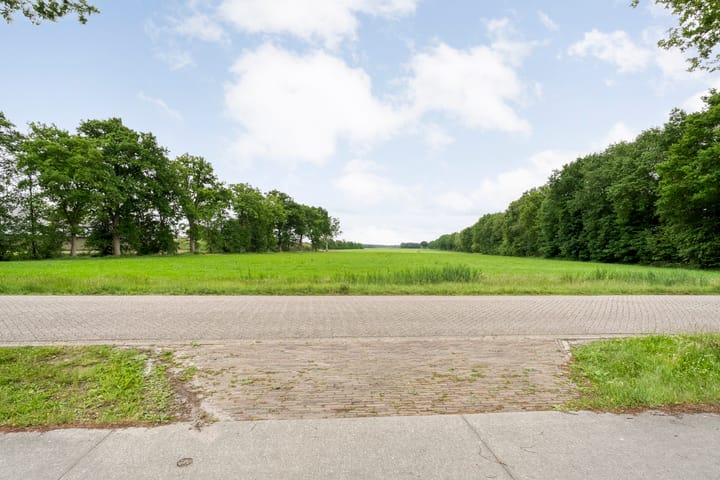 Photo 54 of Midden 119