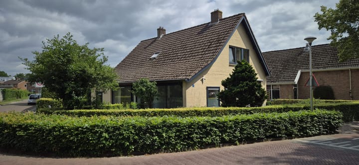 undefined main image