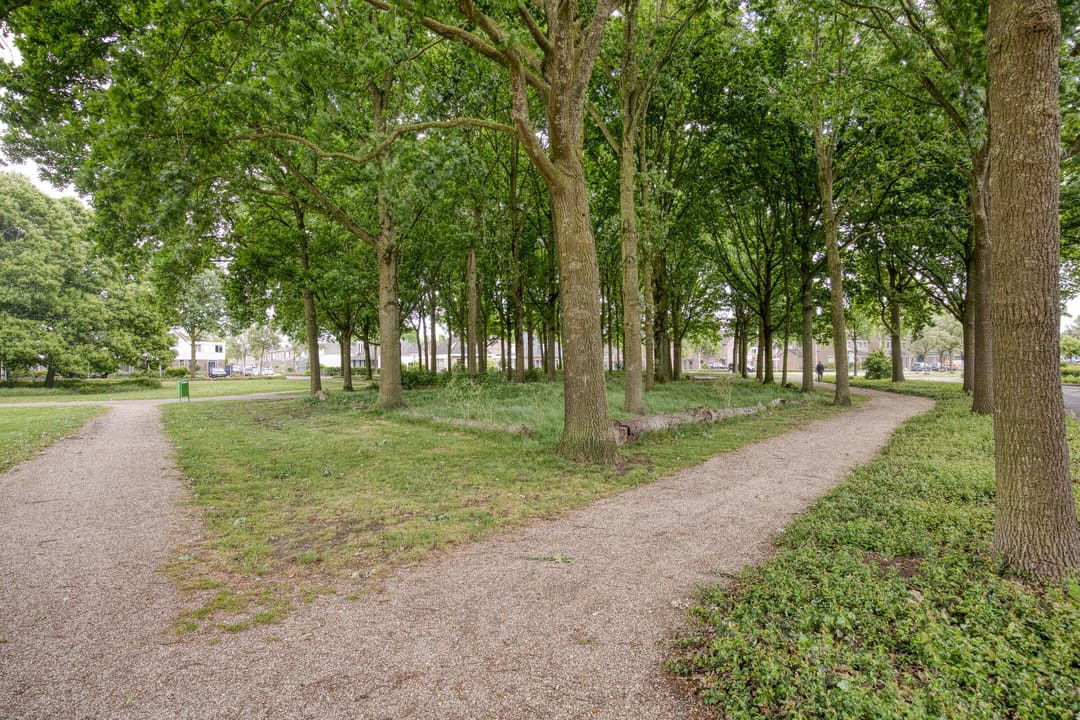 Photo 22 of Anker 23